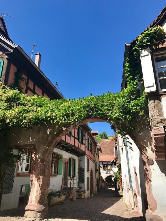 Les Authentics - La Maison D'Amelie Riquewihr Kültér fotó