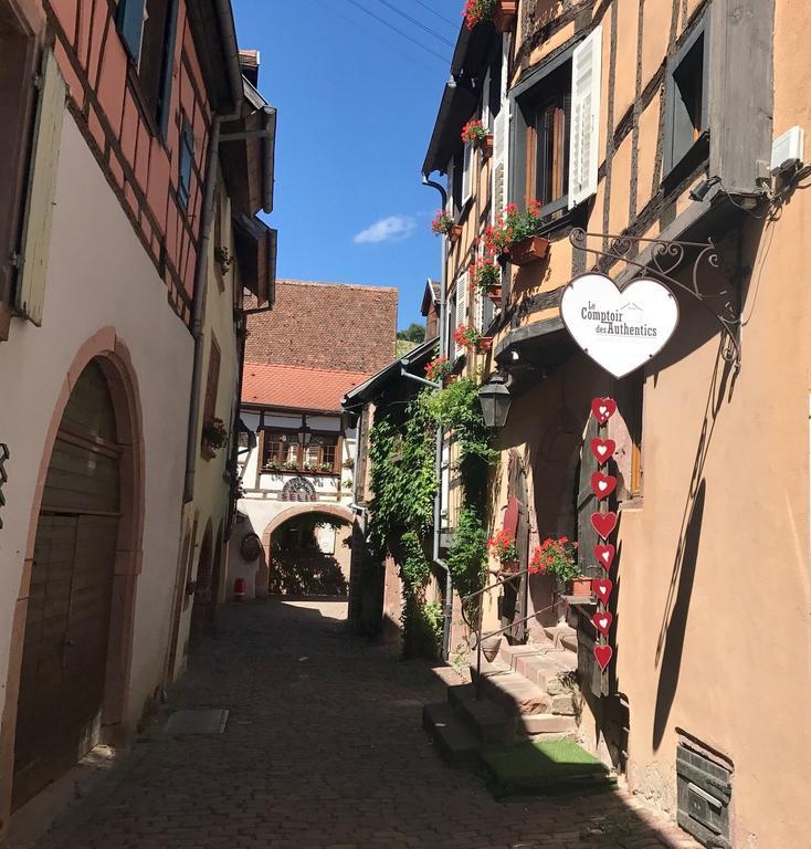 Les Authentics - La Maison D'Amelie Riquewihr Kültér fotó