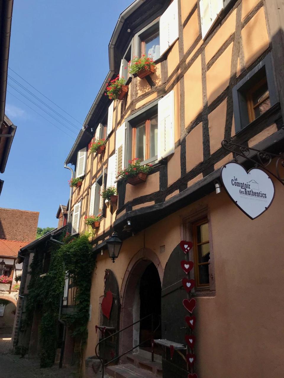 Les Authentics - La Maison D'Amelie Riquewihr Kültér fotó