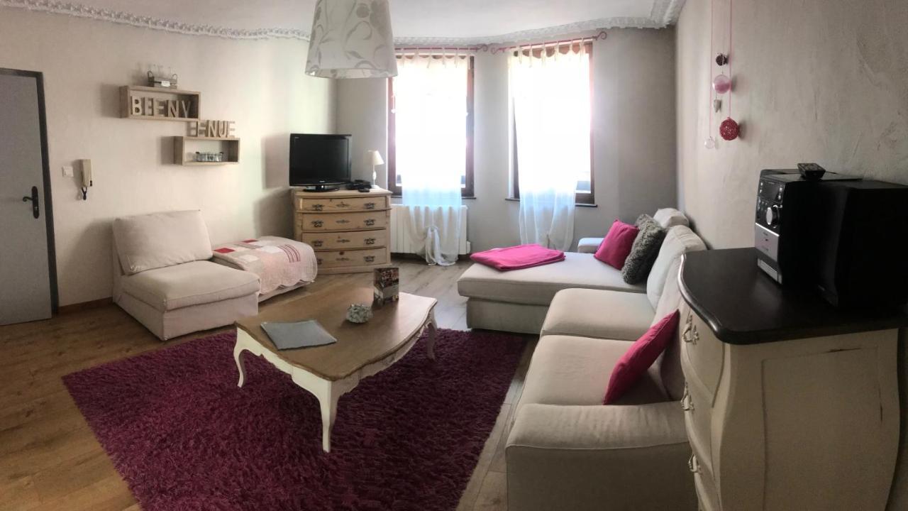 Les Authentics - La Maison D'Amelie Riquewihr Kültér fotó